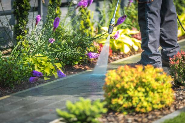 Professional Pressure Washing Services in Agua Fria, NM